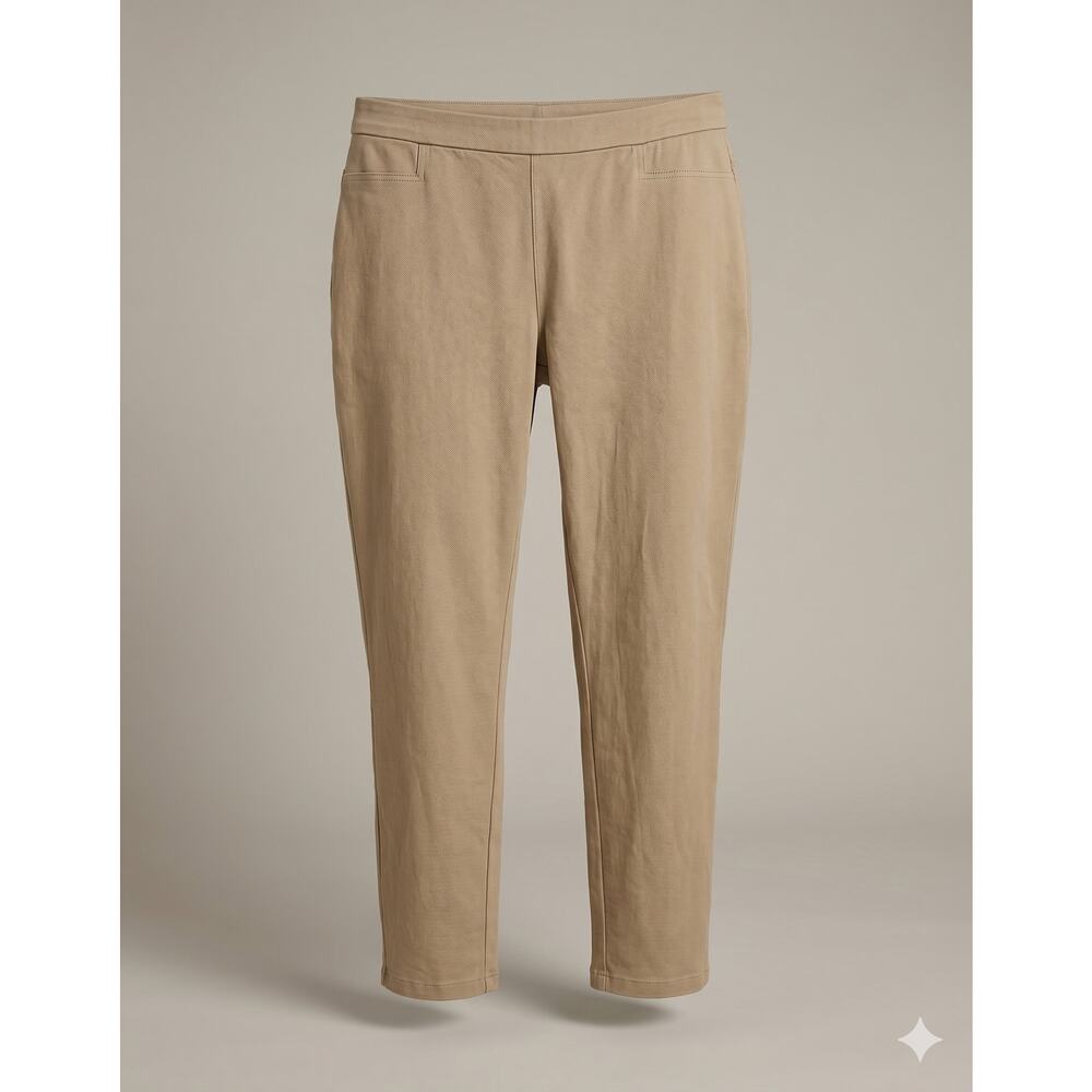 Susan Graver Womens L Minimalist Staple Premium Stretch Pull On Ankle Pants